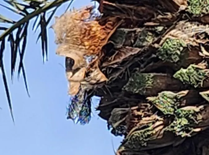 Casa De Mariposas Appartement