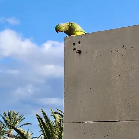 Casa De Mariposas コスタ・デル・シレンチオ