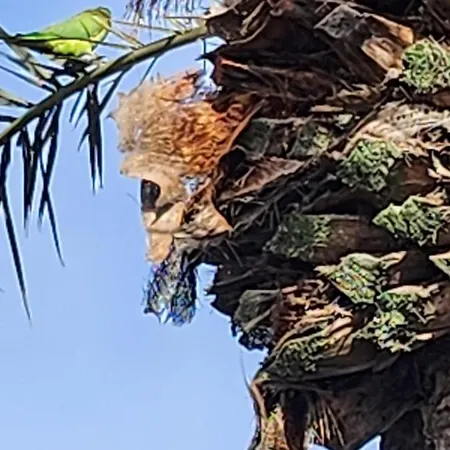 Casa De Mariposas アパート